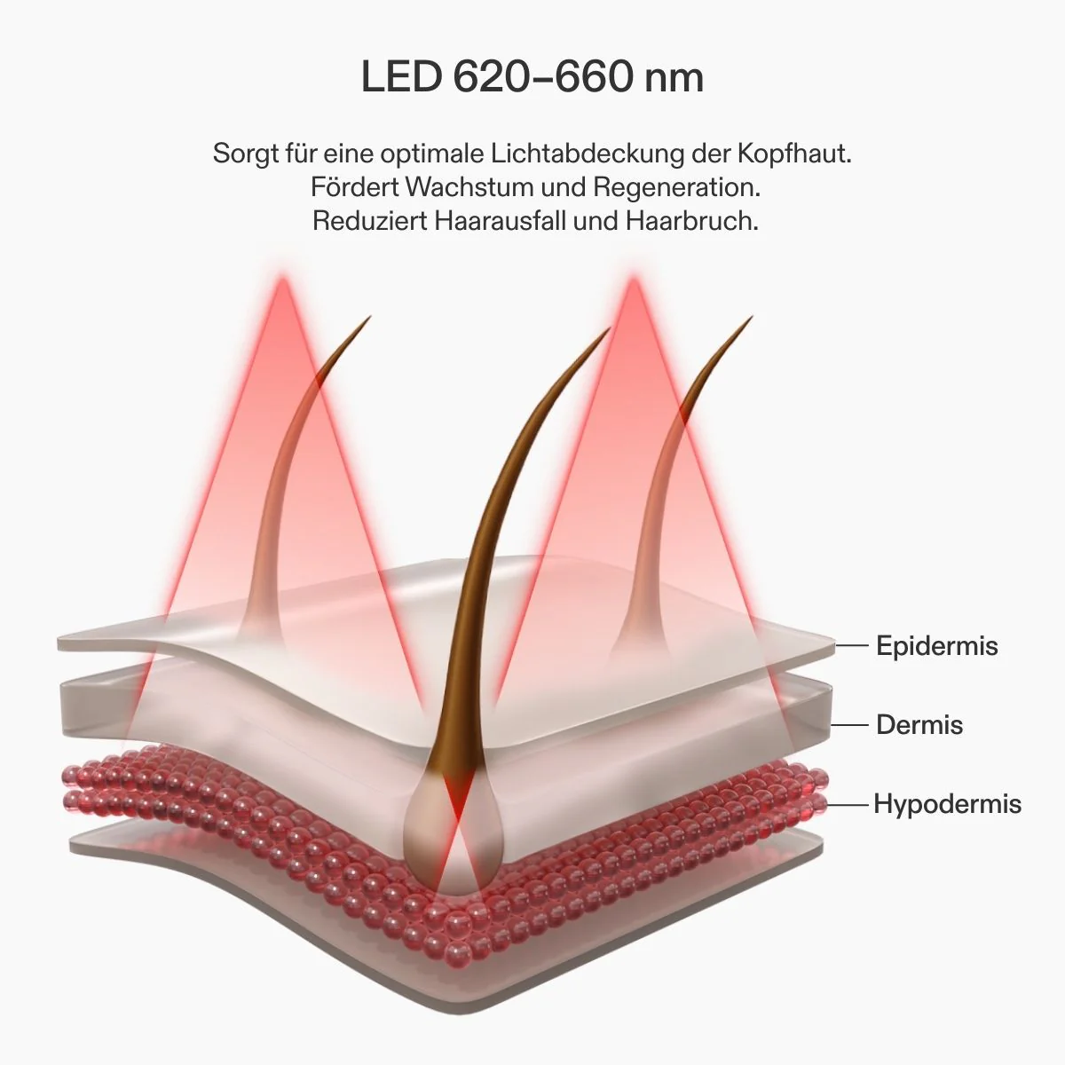 CurrentBody Skin LED Gerät gegen Haarausfall - Image 5